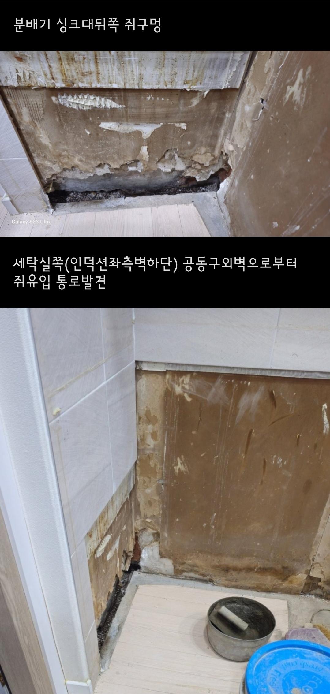 2번 째 사진