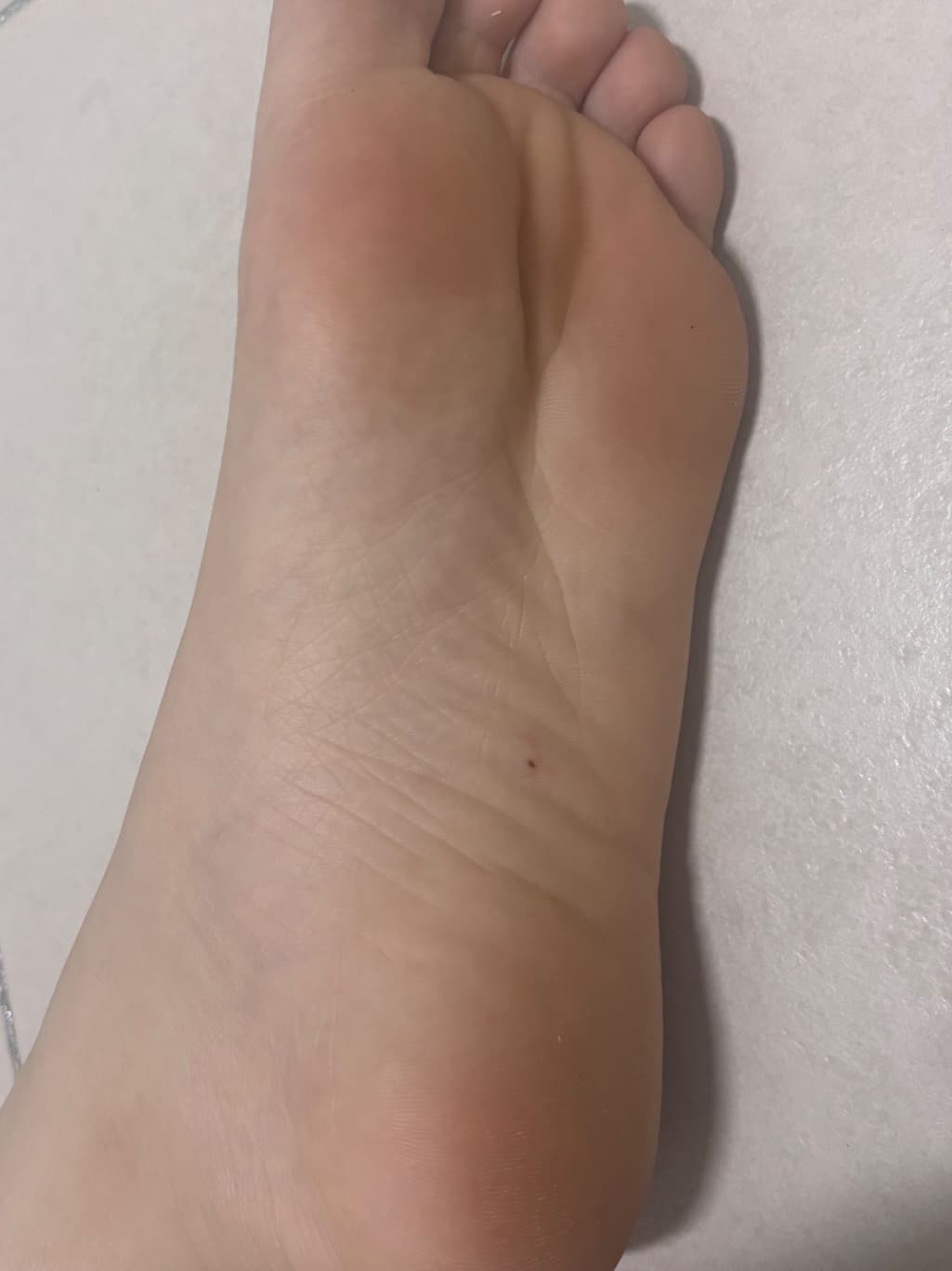 2번 째 사진