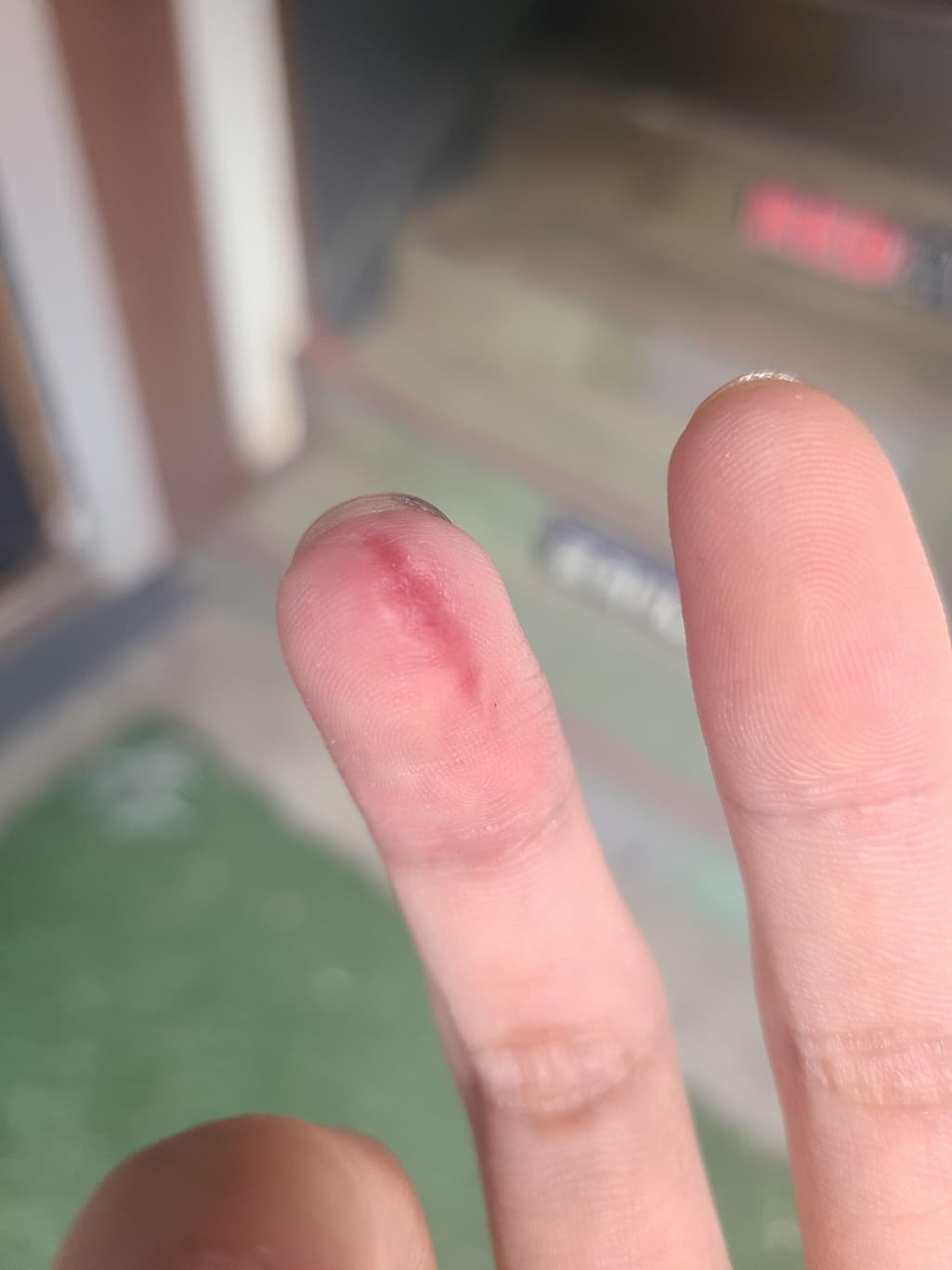 1번 째 사진