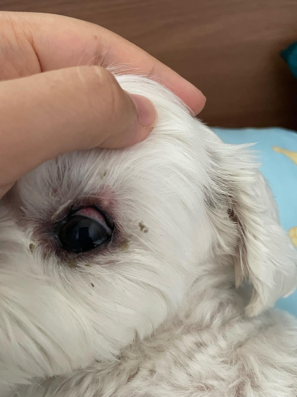 2번 째 사진