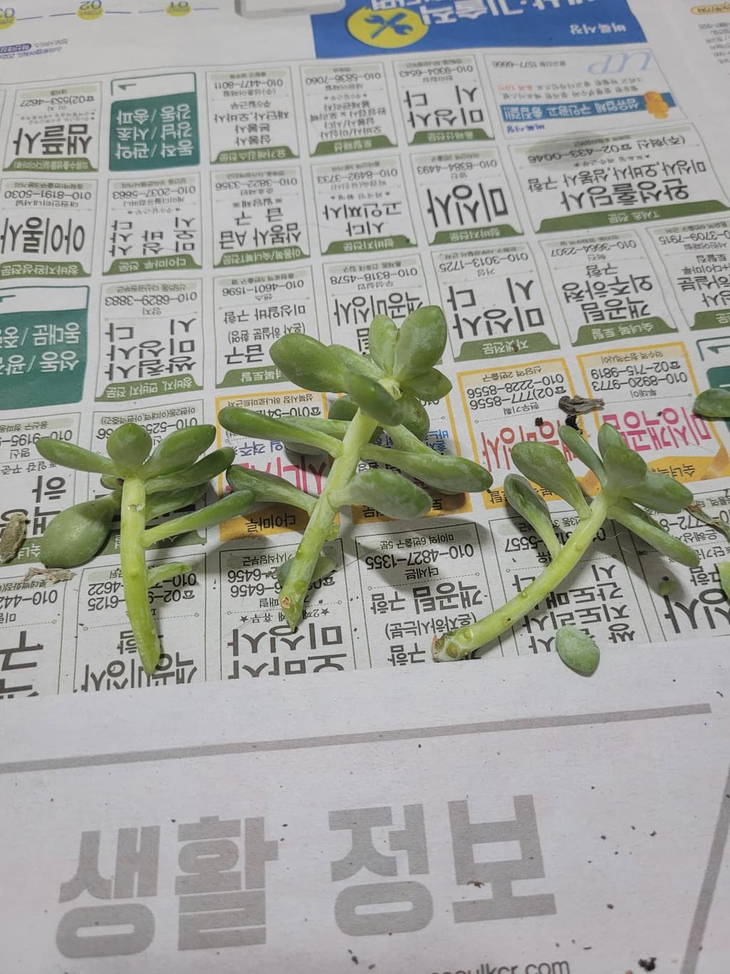3번 째 사진