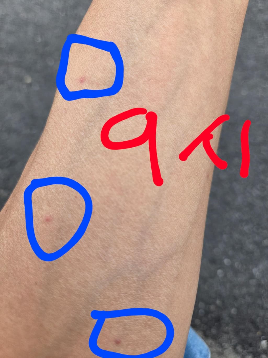 4번 째 사진