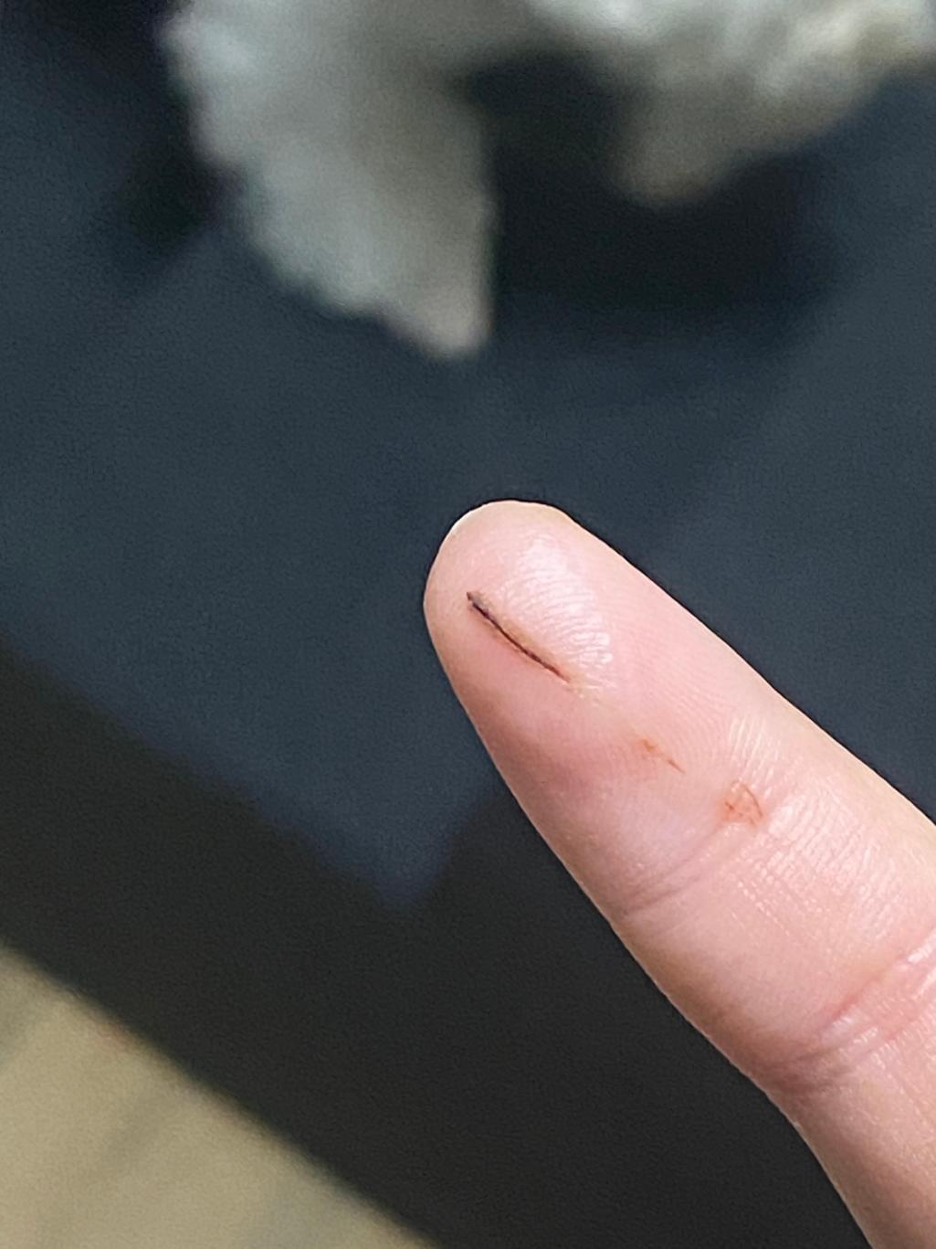 1번 째 사진