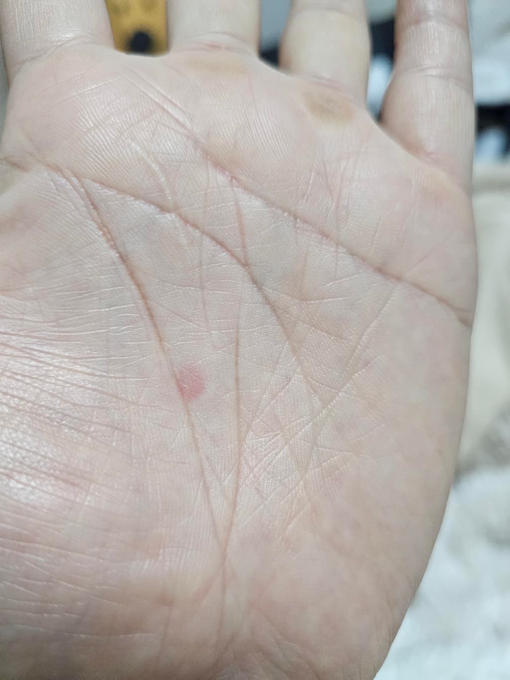 5번 째 사진