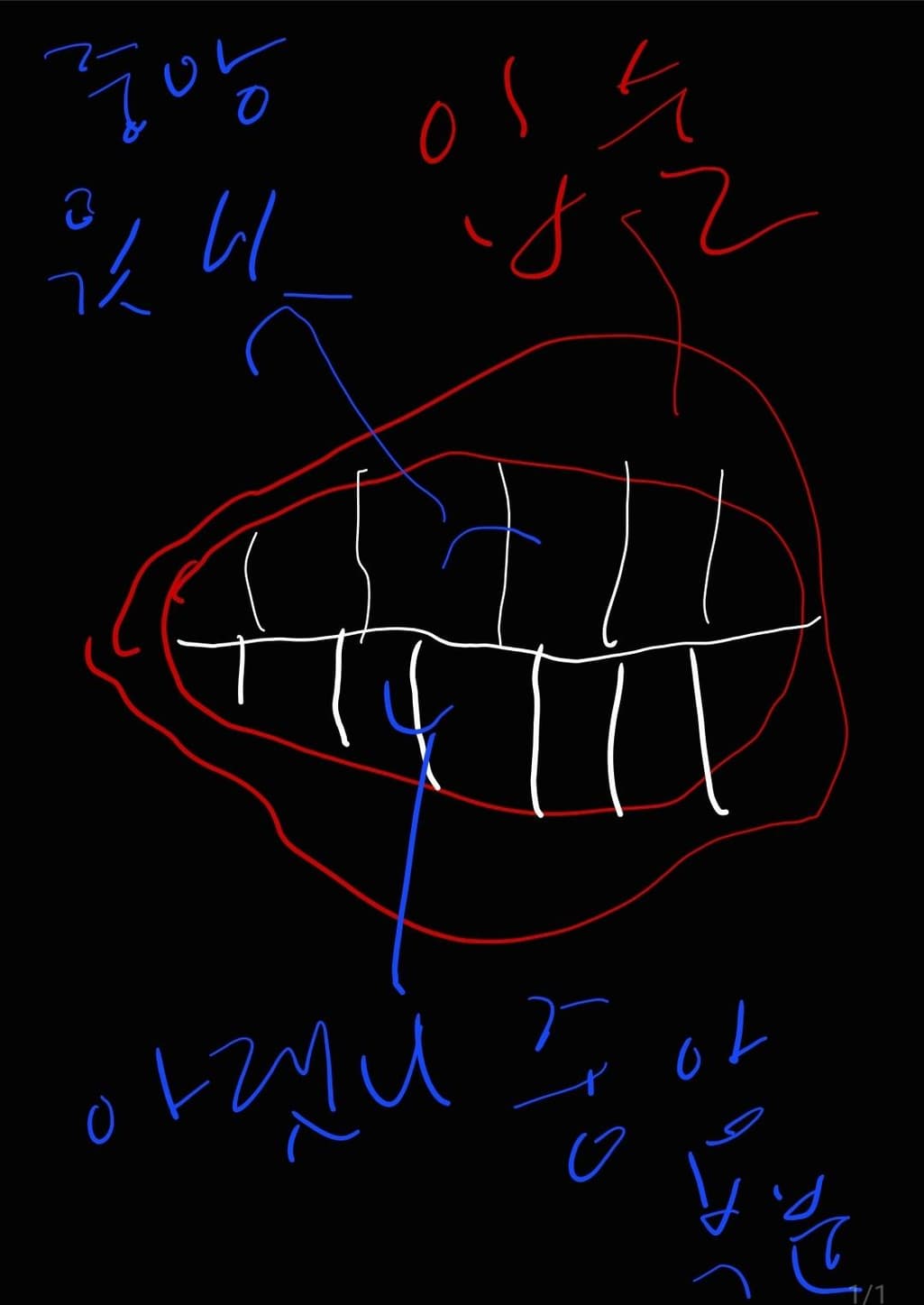 2번 째 사진