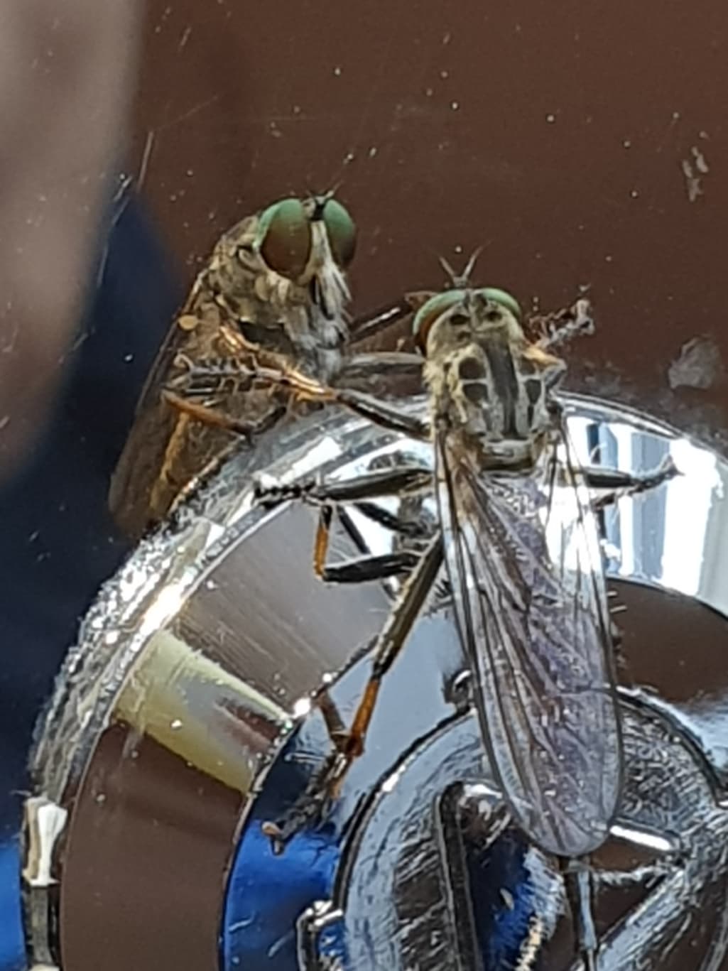 2번 째 사진