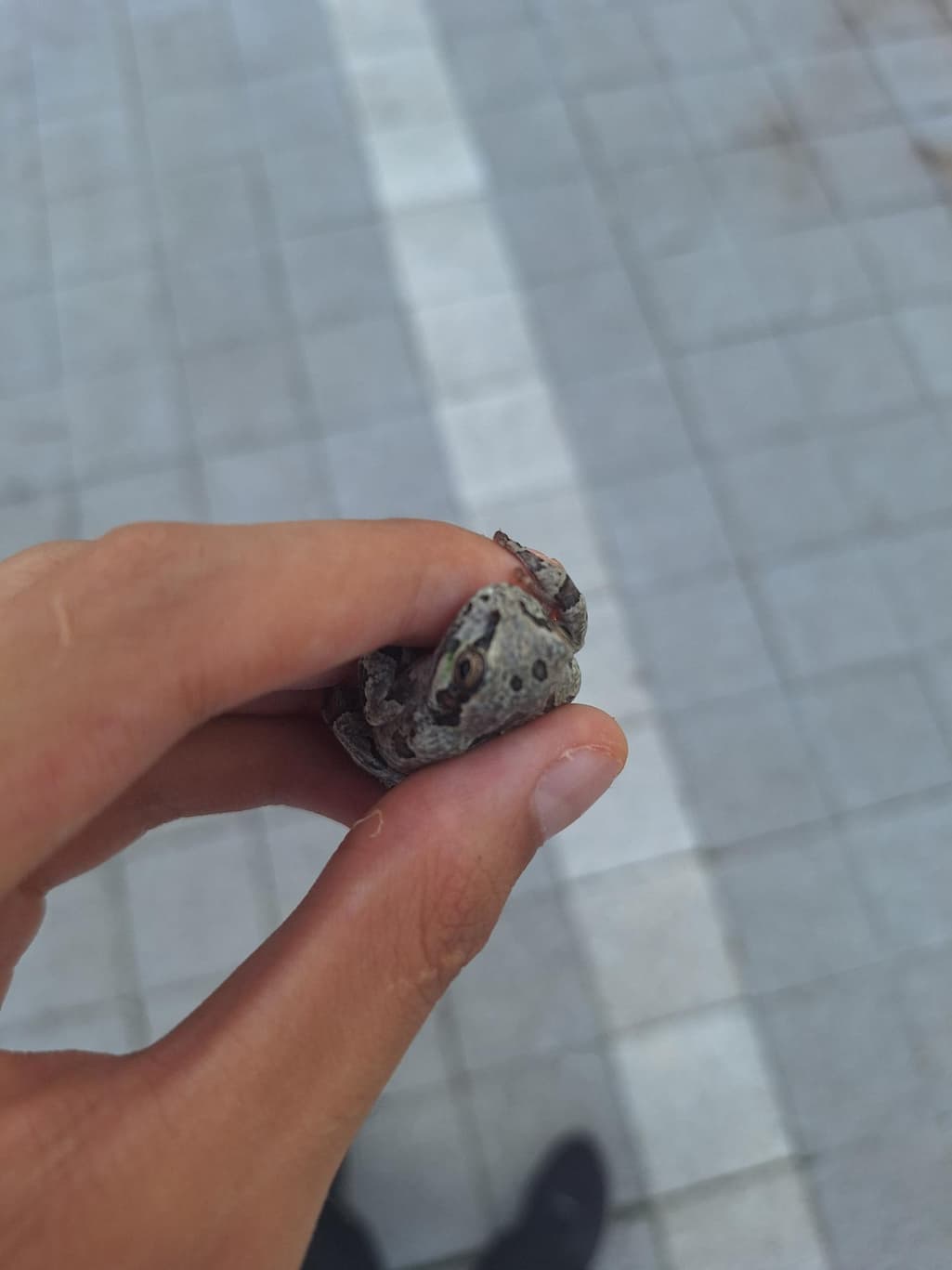 1번 째 사진