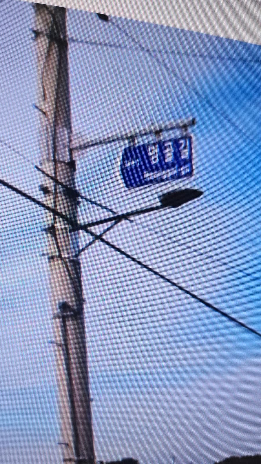 10번 째 사진