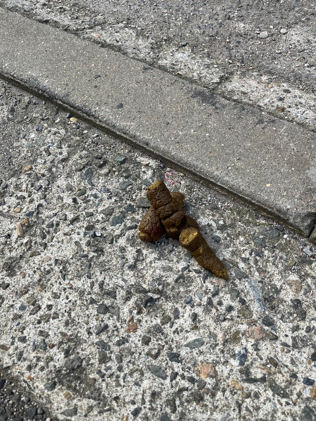 2번 째 사진