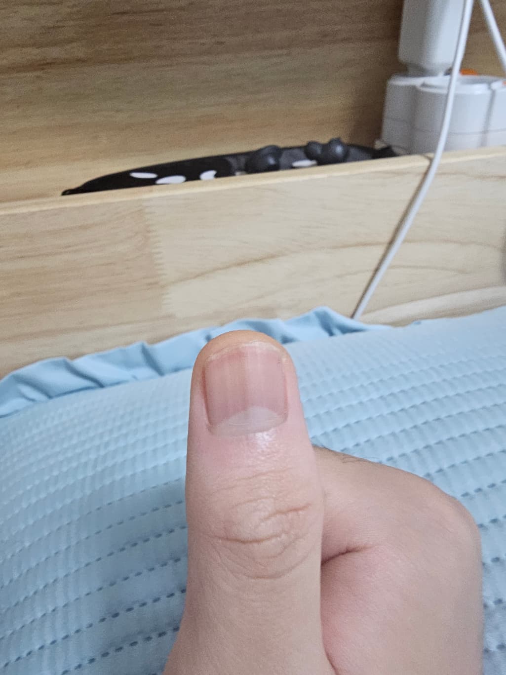 3번 째 사진