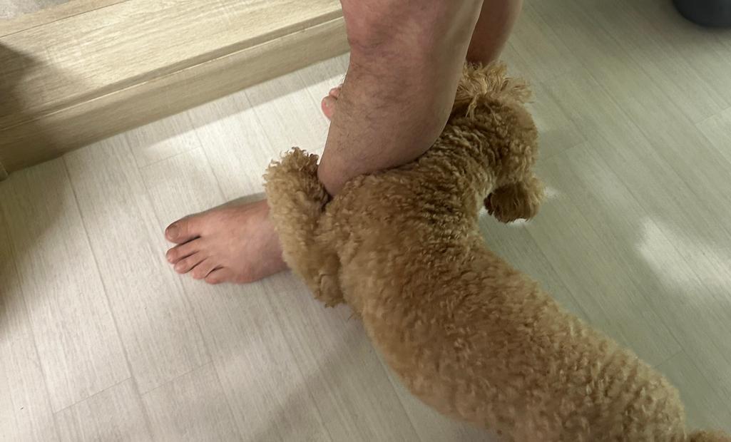 1번 째 사진