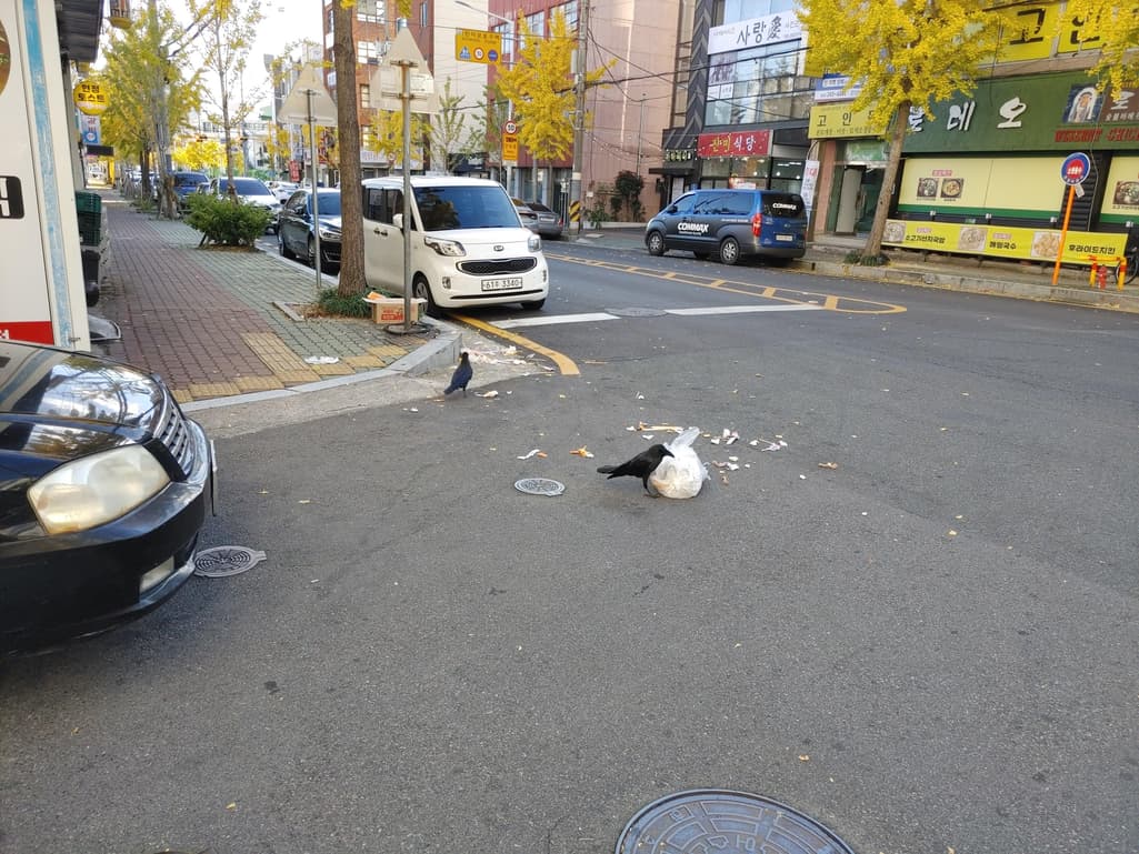 1번 째 사진