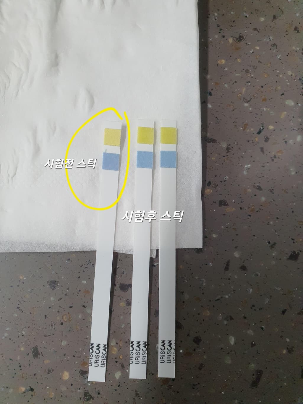3번 째 사진