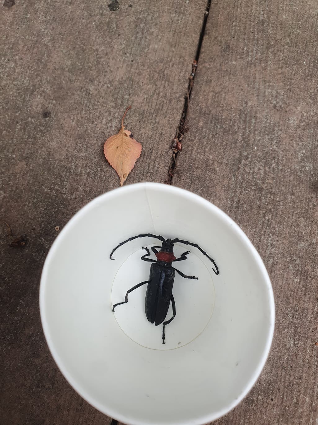 2번 째 사진