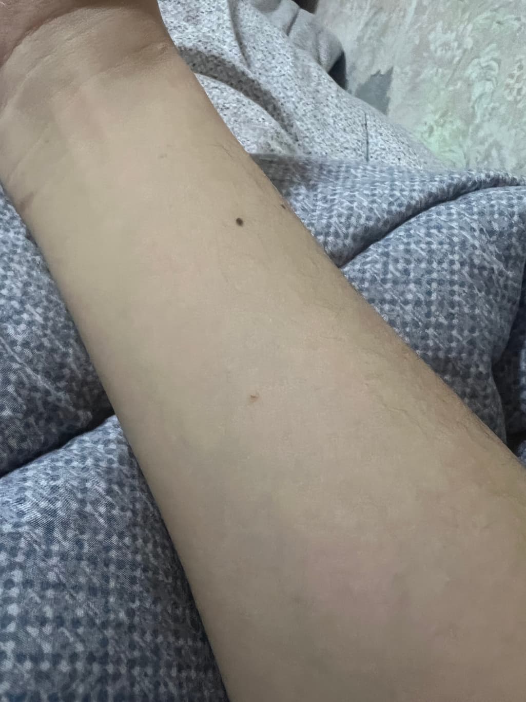 5번 째 사진