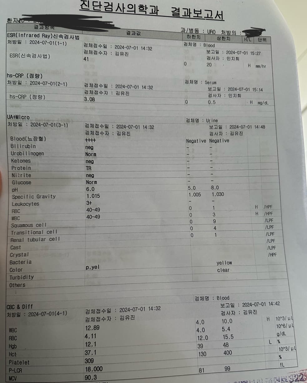 2번 째 사진
