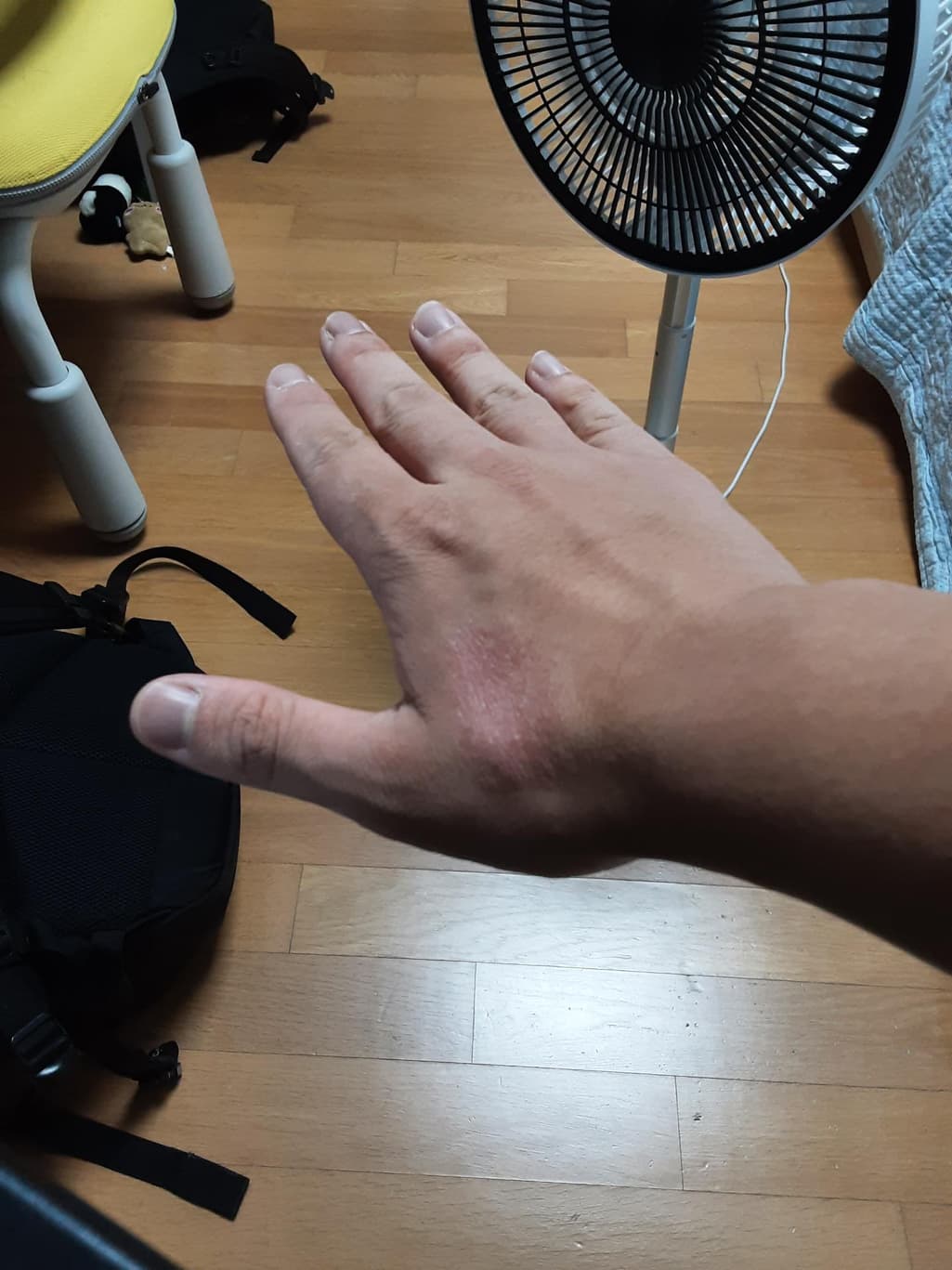 2번 째 사진
