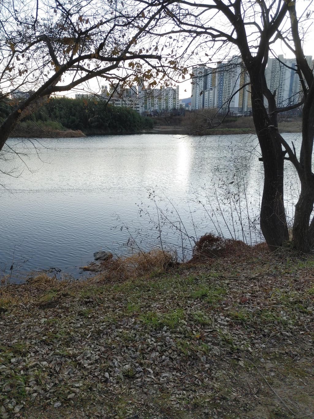 3번 째 사진