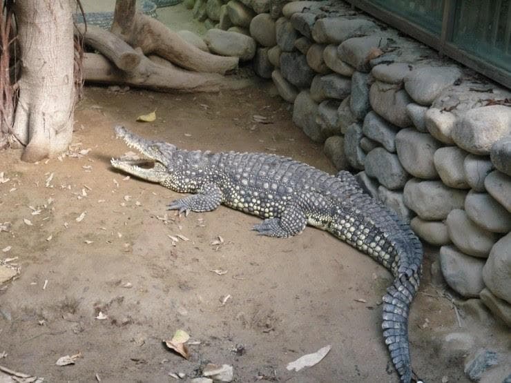 2번 째 사진