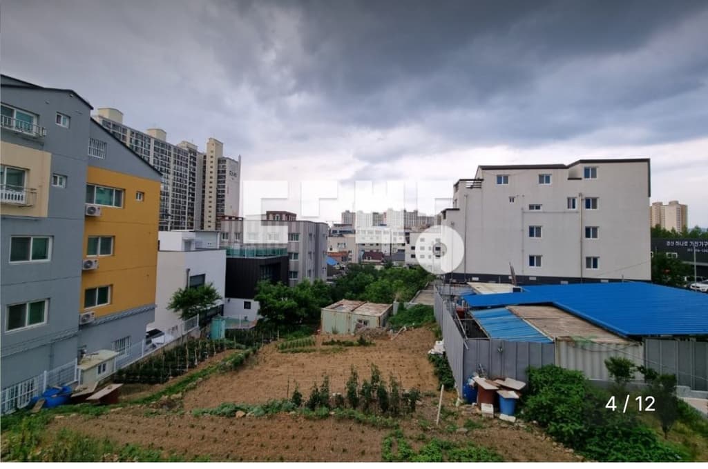 5번 째 사진
