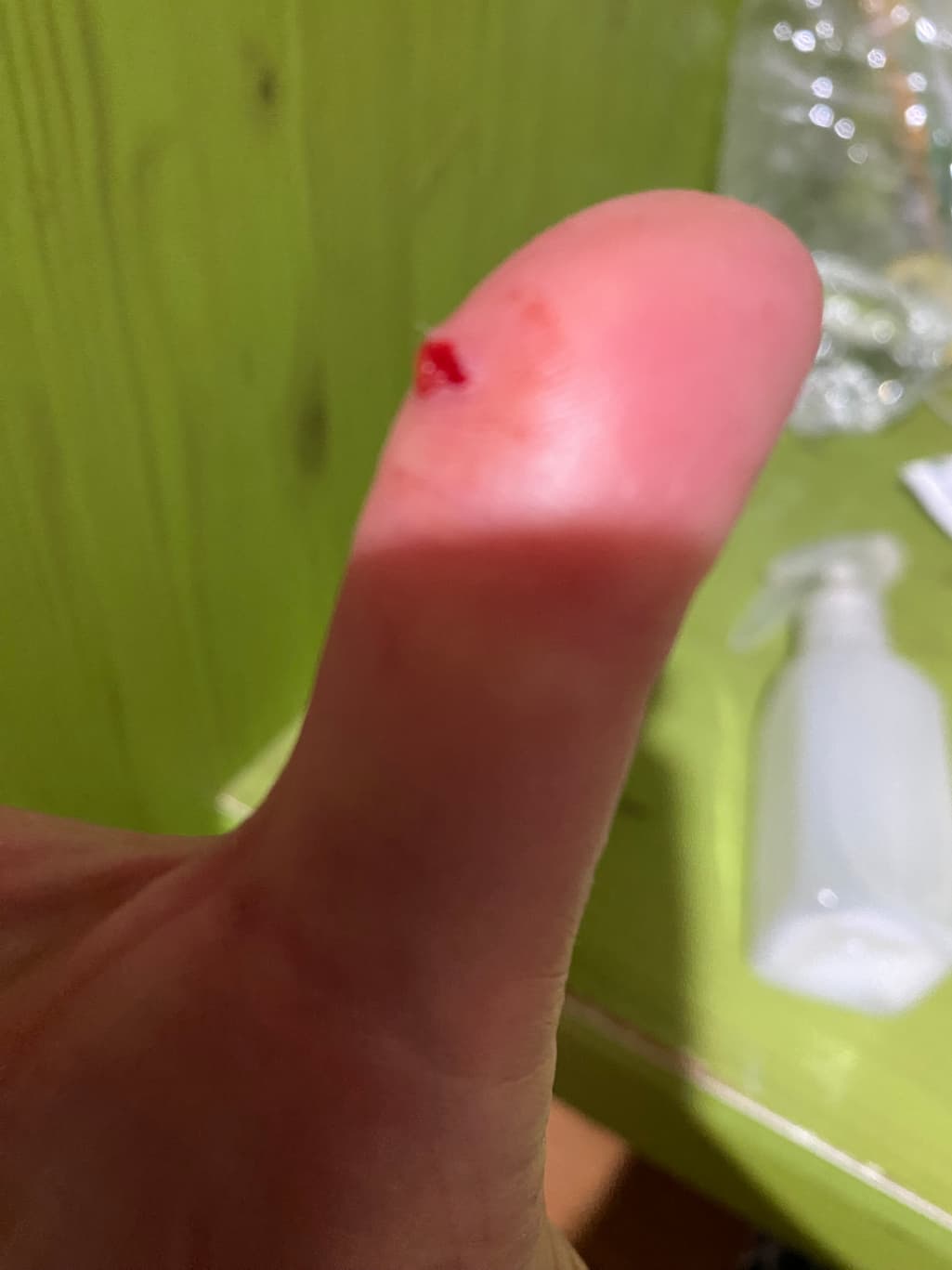2번 째 사진