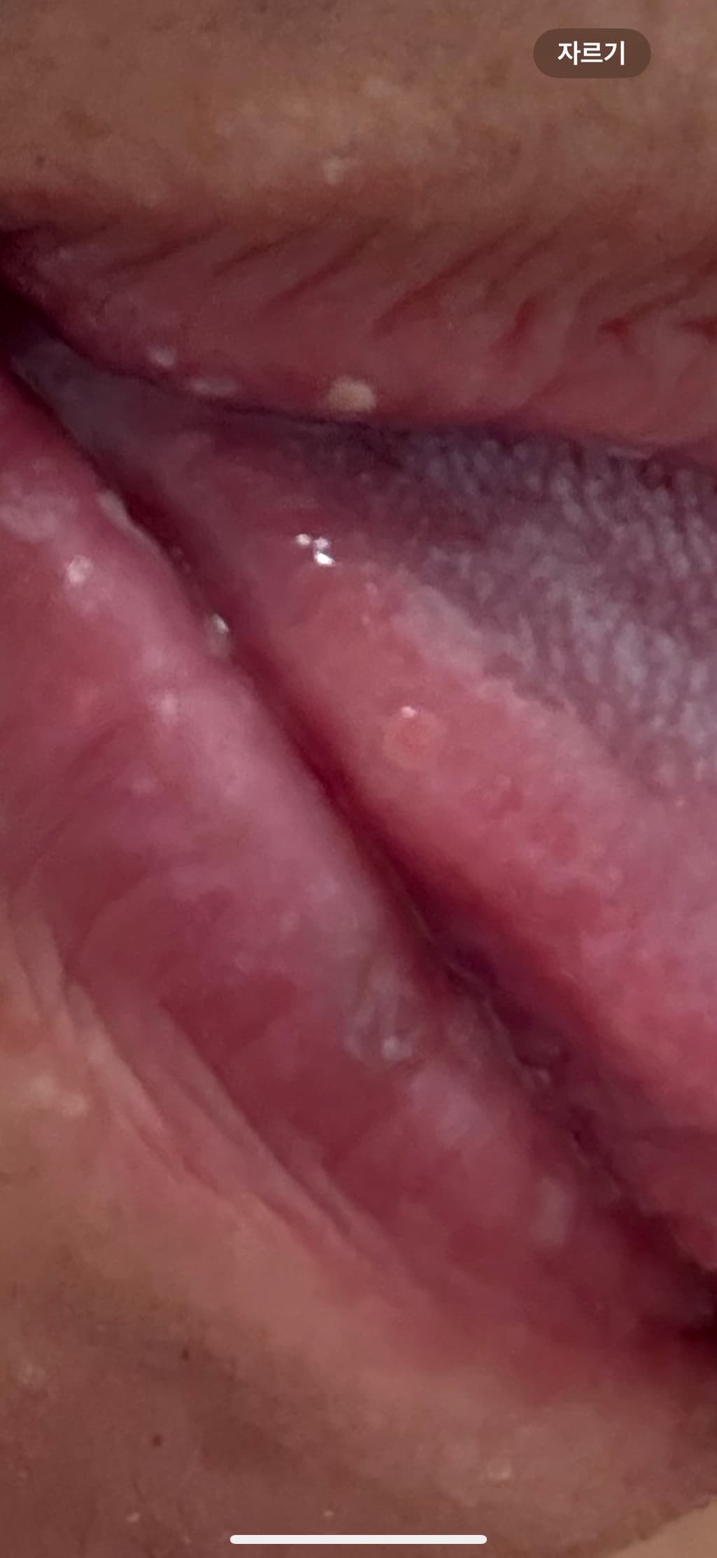 4번 째 사진