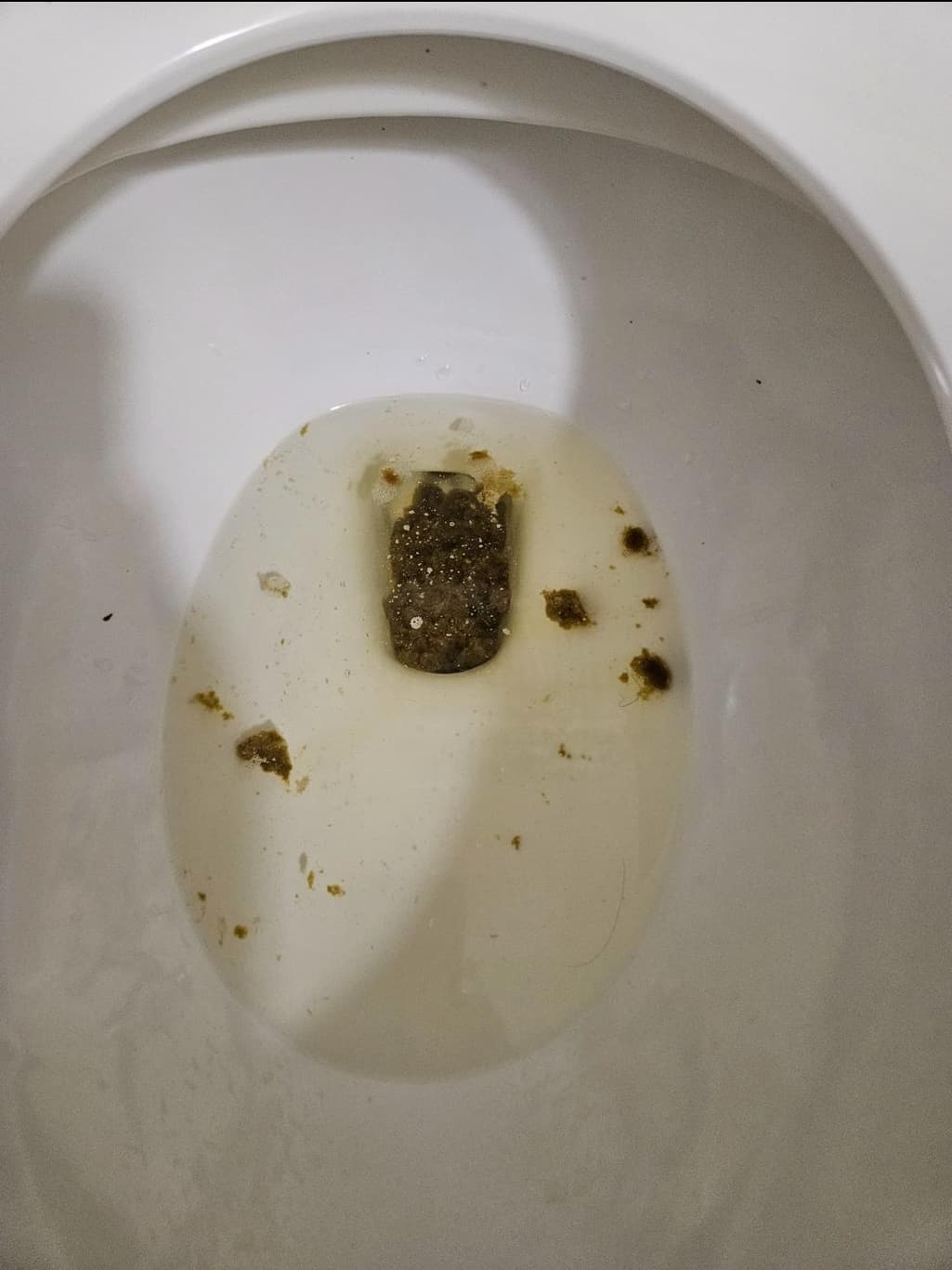 2번 째 사진
