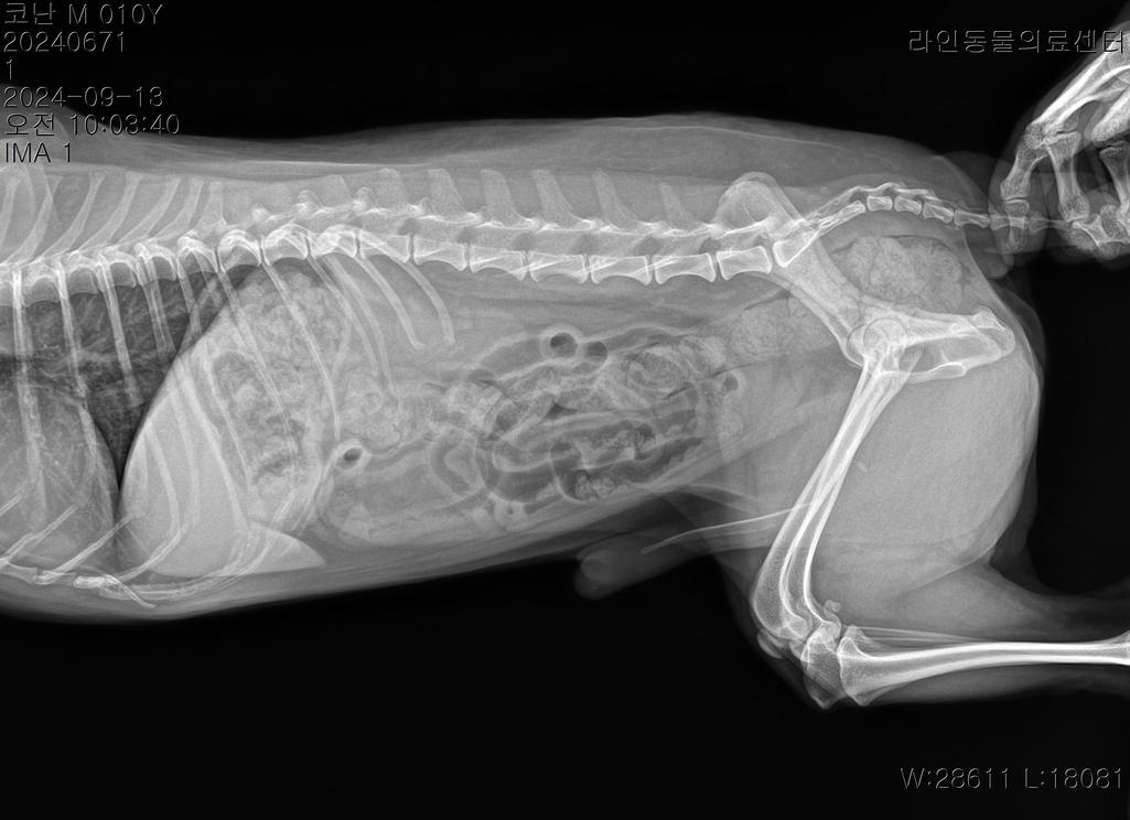2번 째 사진