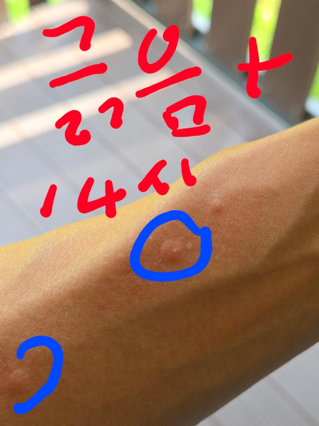 2번 째 사진