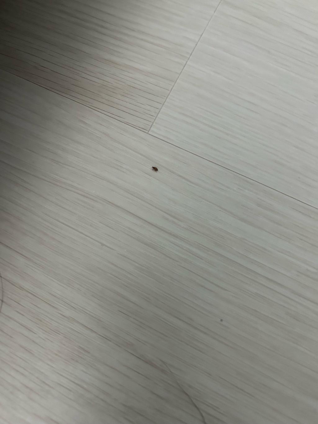 4번 째 사진