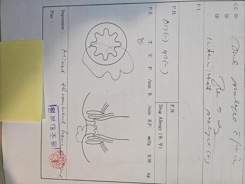 2번 째 사진