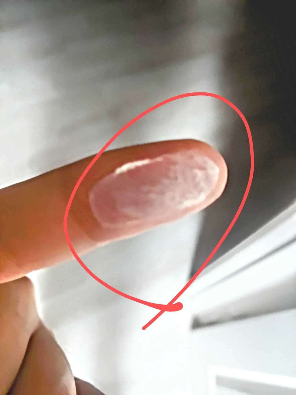 3번 째 사진