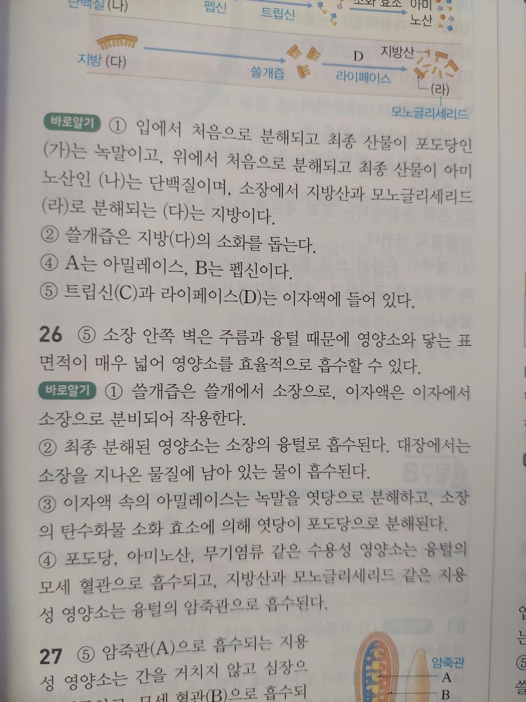 2번 째 사진