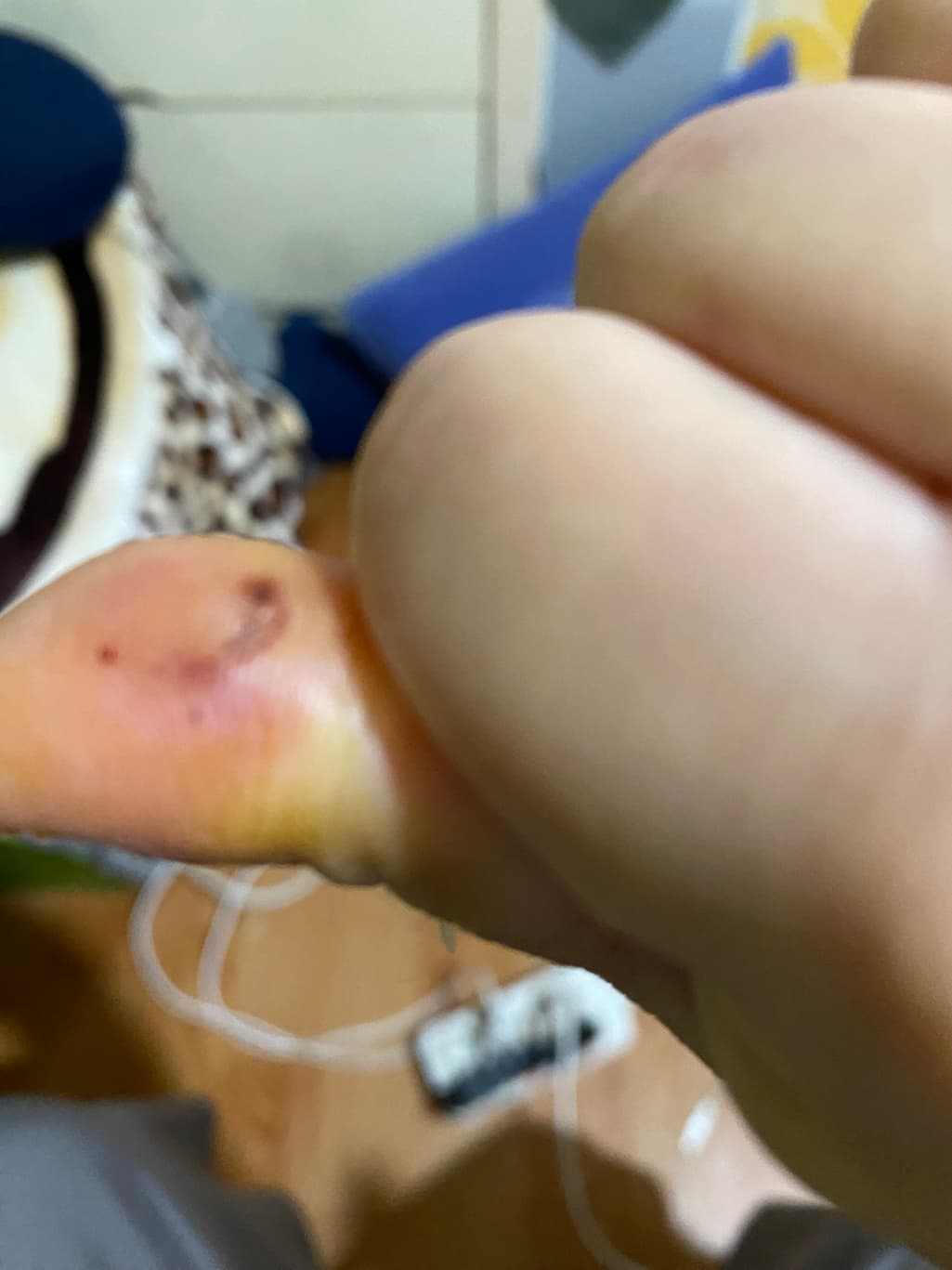 3번 째 사진