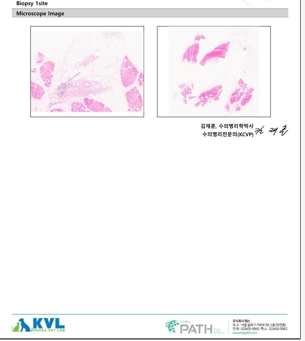 2번 째 사진