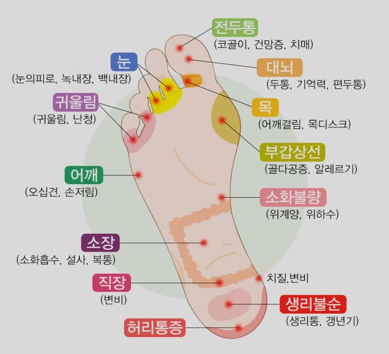 2번 째 사진
