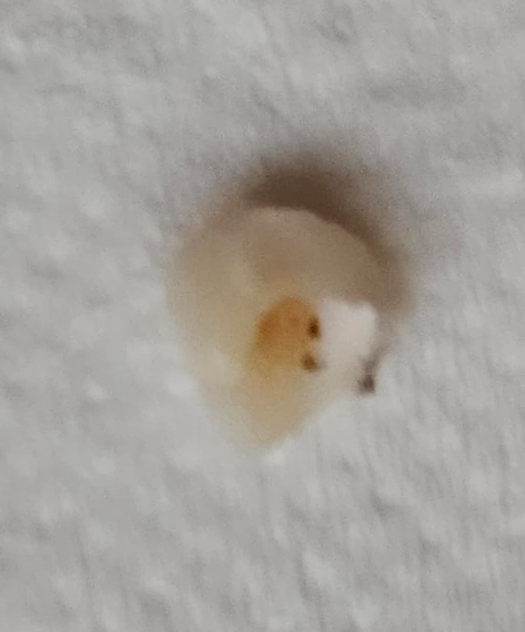 2번 째 사진