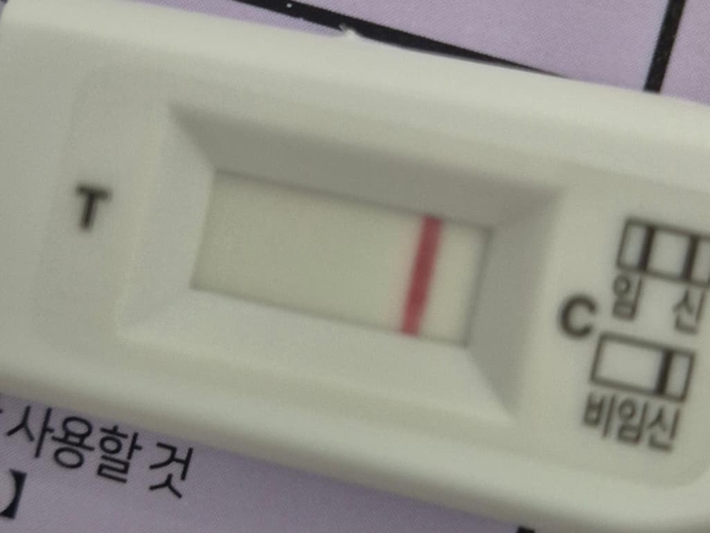 3번 째 사진