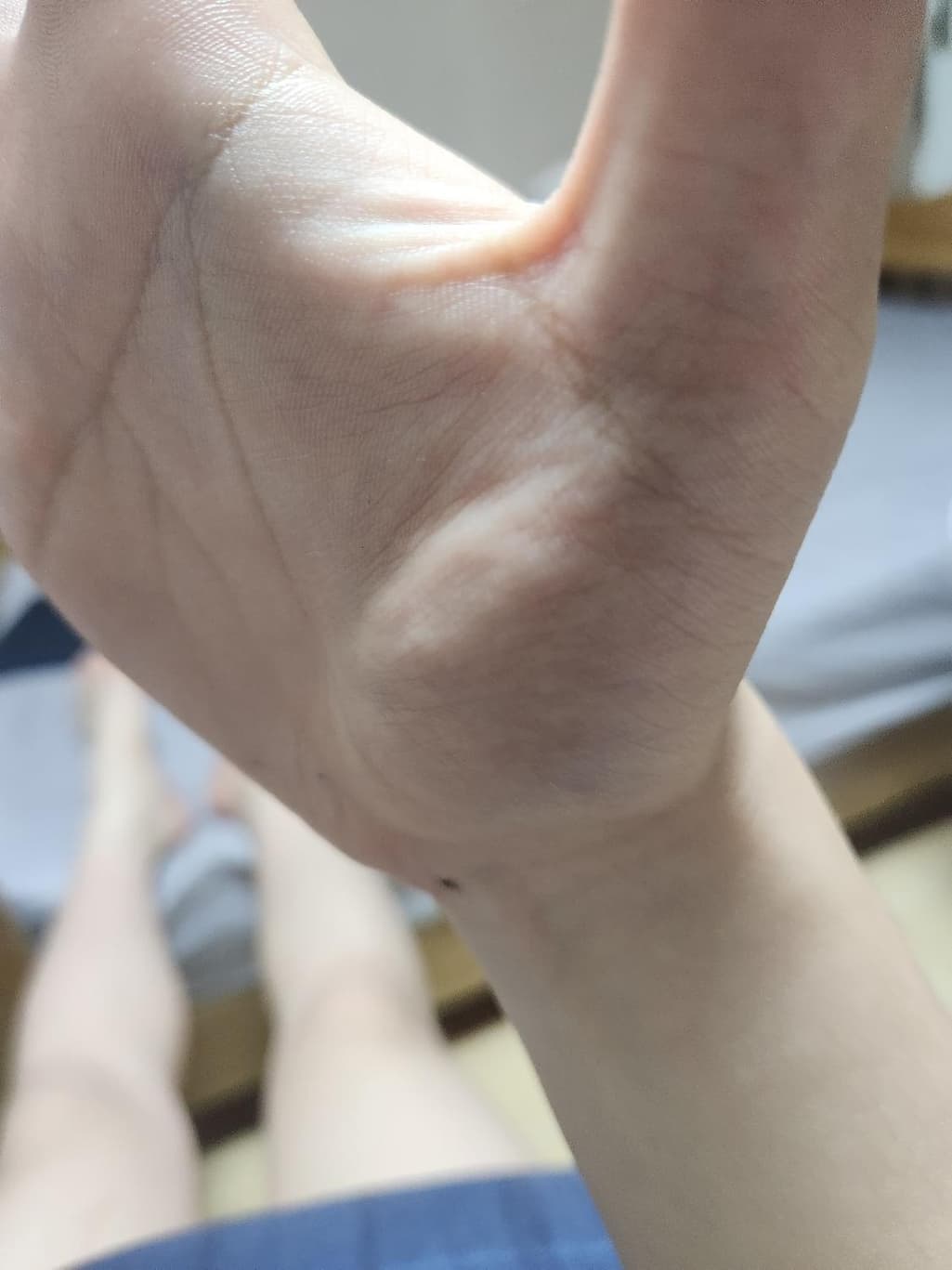 2번 째 사진