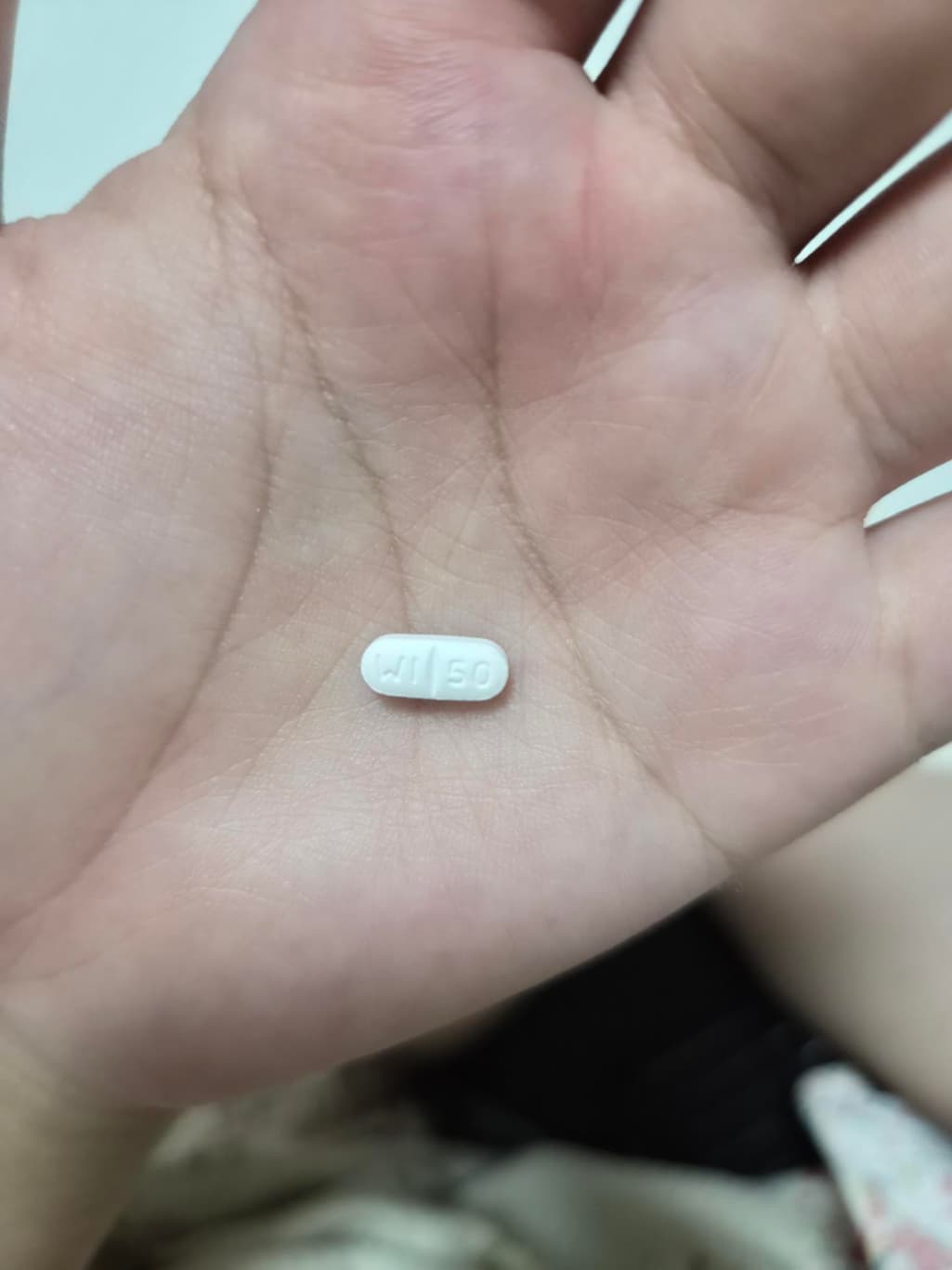 5번 째 사진