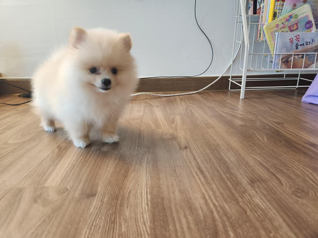 2번 째 사진