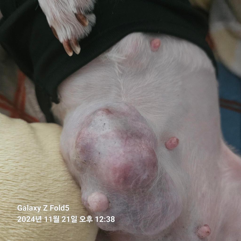 1번 째 사진
