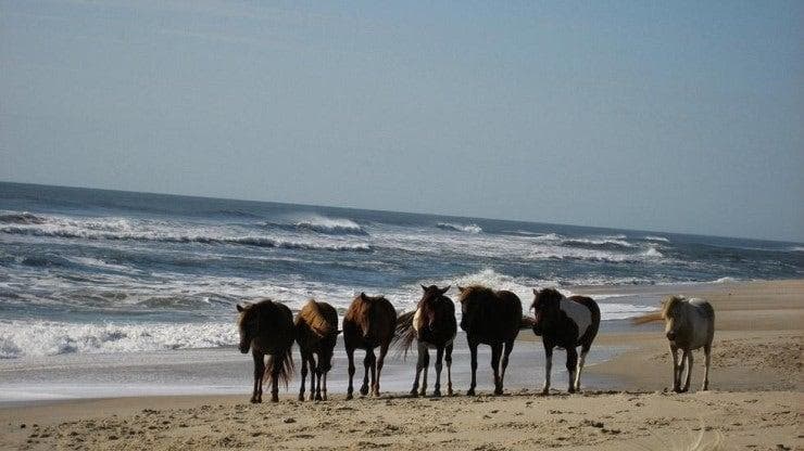 4번 째 사진