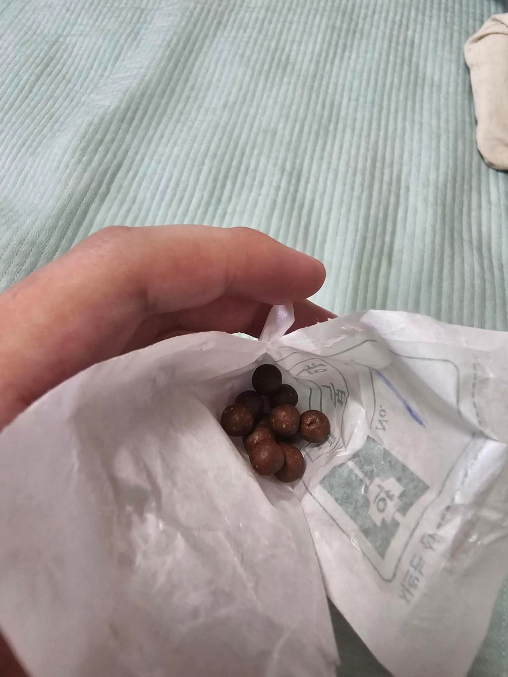 1번 째 사진