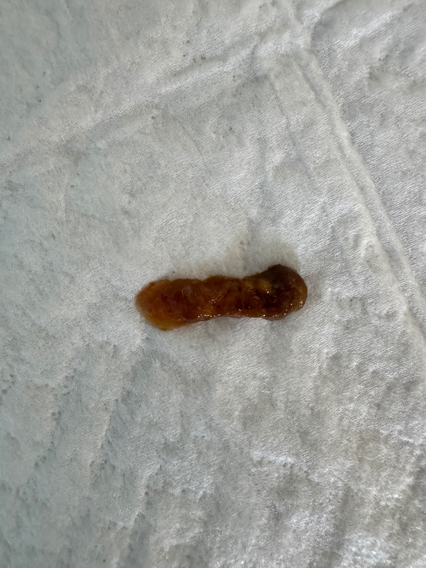 2번 째 사진