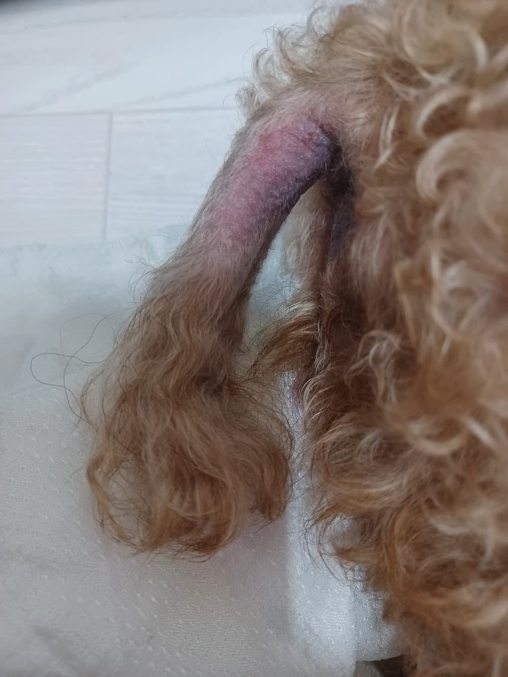 2번 째 사진