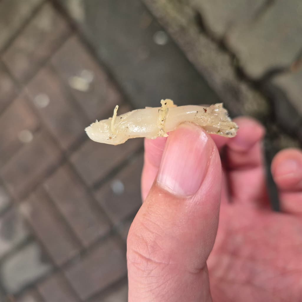 4번 째 사진