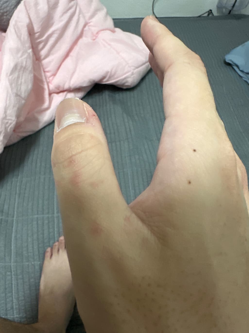 2번 째 사진