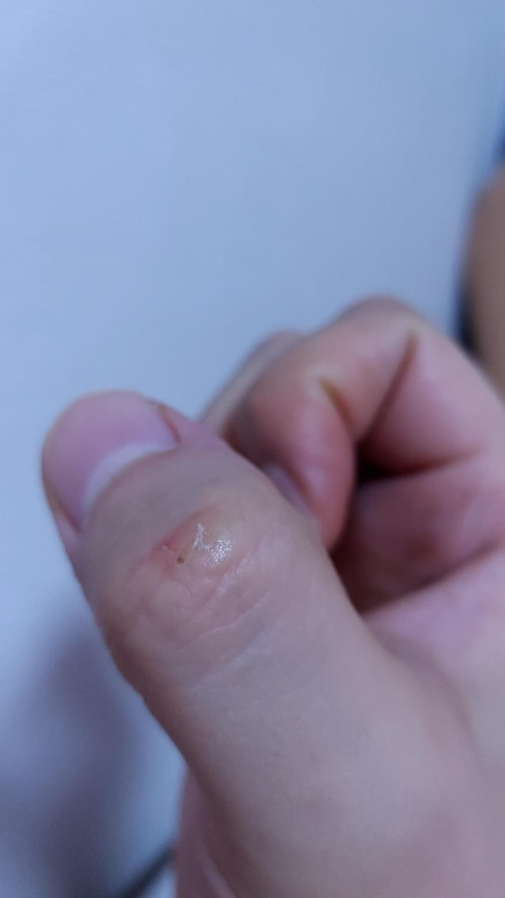 2번 째 사진