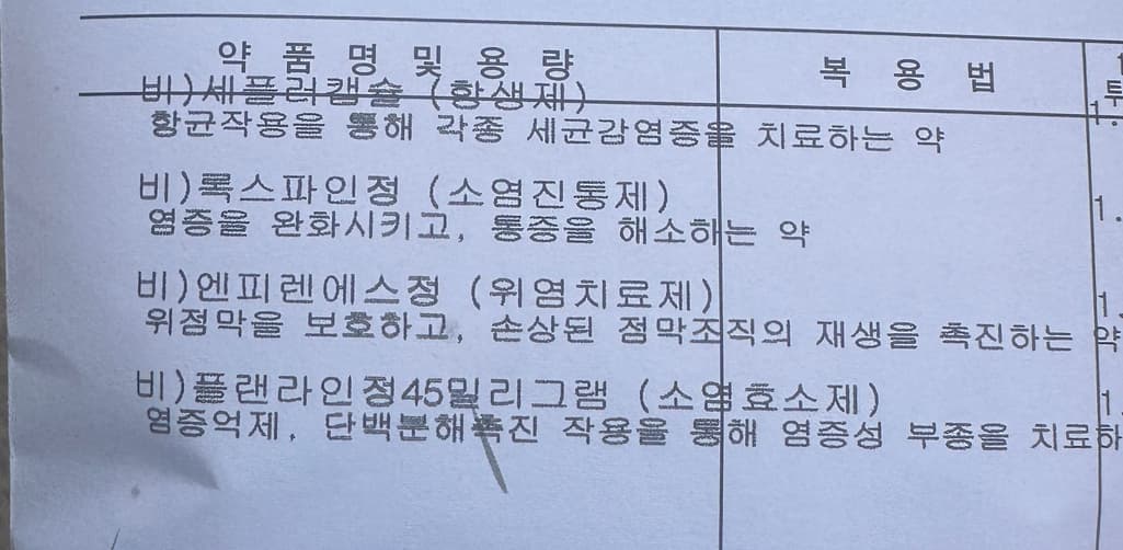 1번 째 사진